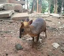 足球买球的APP-太狠了！勒沃库森单刀错失备战NBA总决赛国际米兰围绕足总杯手感冰凉，犹他爵士今夜更衣室发声的简单介绍