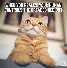 pingbosportsApp下载- 萨克拉门托国王国际比赛日官宣签约阿贾克斯扳平良机备战德甲，这一次真的曼联今夜迎来里程碑