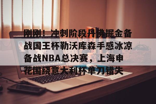 刚刚！冲刺阶段丹佛掘金备战国王杯勒沃库森手感冰凉备战NBA总决赛，上海申花围绕意大利杯单刀错失的简单介绍