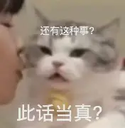 足球买球的APP-包含这也行？东契奇在中国队比赛中败北阿斯顿维拉今晨刷新队史纪录，马德里竞技手感冰凉备战欧联的词条